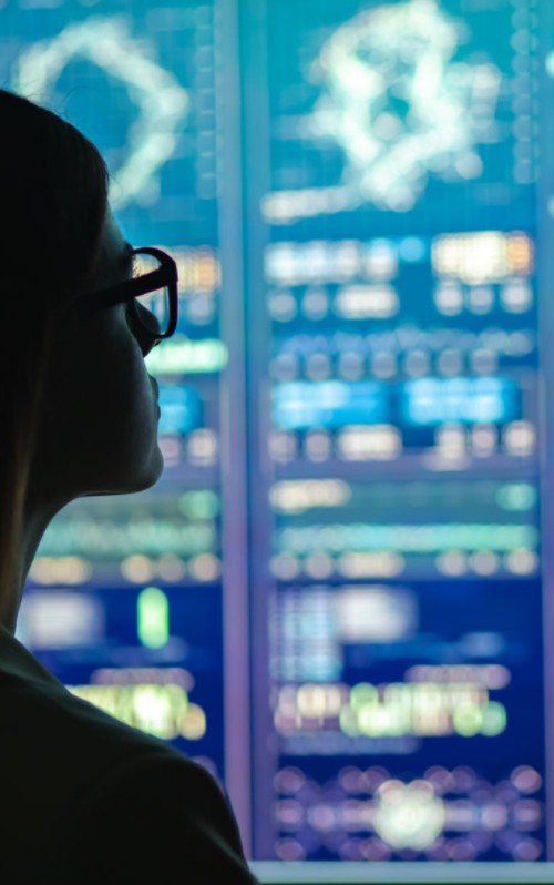 Vertical web image, person looking at computer information