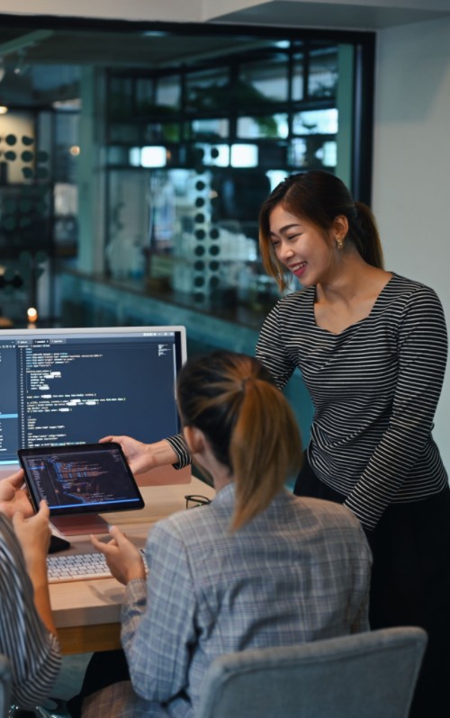 Vertical image of two women coding in the office